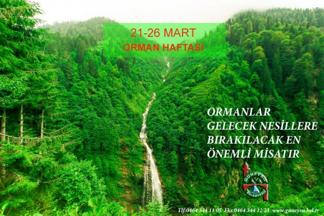 21-26 MART ORMAN HAFTASI