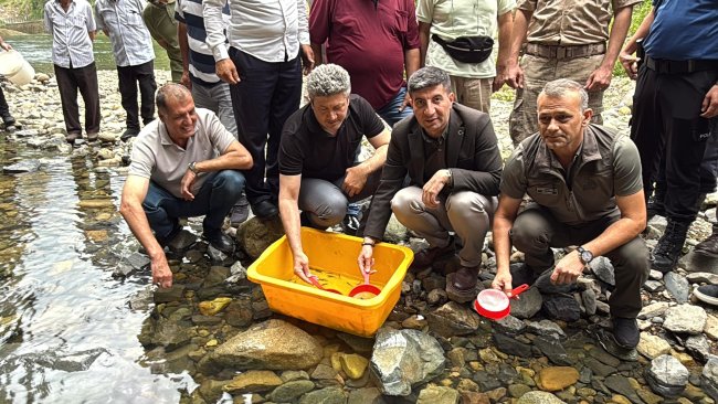 GÜNEYSU DERELERİNE KIRMIZI BENEKLİ ALABALIK BIRKAILDI.